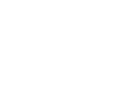 Evolution games at Win Fest Casino